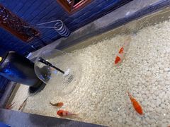 -搓火大都会(广安门总店)