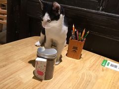 -猫的天空之城概念书店(杭州南宋御街店)