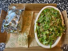 -油梨树AVOCADO TREE(顺义新国展店)