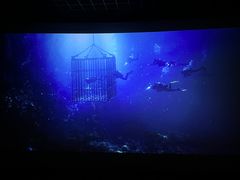 -寰映影城(大融城激光IMAX店)
