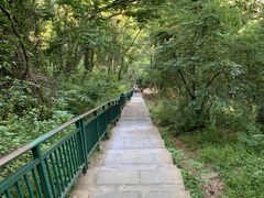 -大蜀山国家森林公园