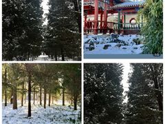 -月坛公园