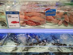 -盒马X会员店(上海森兰商都店)