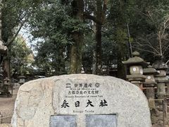 -奈良公园