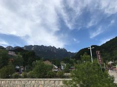 -王顺山国家森林公园