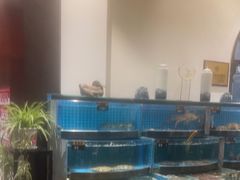 -正德楼果木烤鸭·渔家菜(东港店)