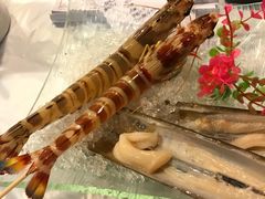 -鲜入围煮花胶鸡海鲜火锅
