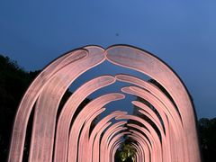 -渤公岛生态公园