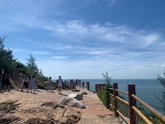 -广东惠东海龟国家级自然保护区