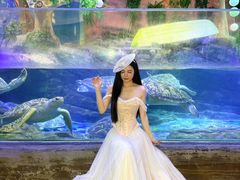 -合肥海洋世界