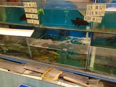 水产区-张记旺角食街(动物园店)