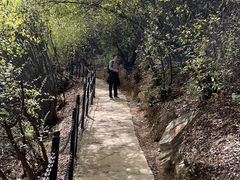 -云丘山景区