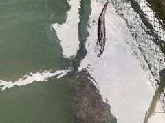 -蓝湾碧波·老字号·疍家非遗海上餐厅