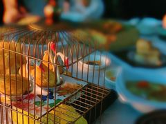 -寻味顺德·珍之宝酒楼(银钻店)