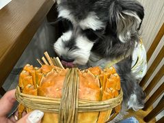 -蟹天蟹地农家菜·阳澄湖大闸蟹(浅水湾店)