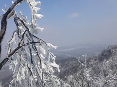 -紫金山山顶公园