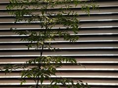 -Love Story爱情故事·养生SPA会所(新侨店)
