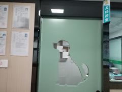 -半岛宠物医院24小时(科华中路店)
