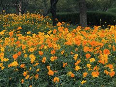 -苏州上方山国家森林公园