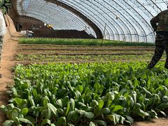 -安德鲁户外烧烤帐篷营地(马泉营店)