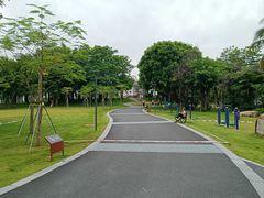 -华侨公园