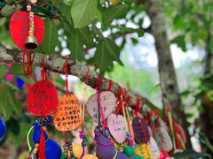 -西双版纳原始森林公园