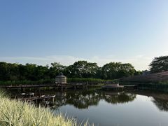 -大塘金香草谷