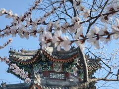 -颐和园
