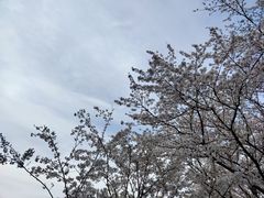 -黄兴公园