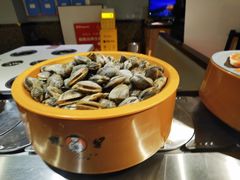 -龍歌自助小火锅(崂山丽达店)