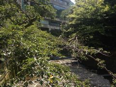 -月光园游月山庄