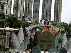 -成都市活水公园