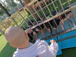 -萌宠亲子动物乐园(槐房万达店)