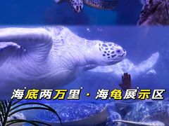 -海合安武汉极地海洋公园