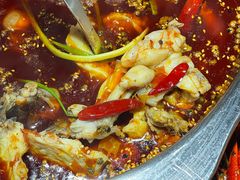 -大拿渔火锅(万豪白领富贵西园店)