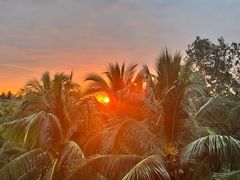 -三亚海棠湾万丽度假酒店