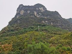 -广悦华阳朔河畔度假酒店(十里画廊遇龙河店)