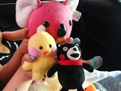 -PAWTOY爪e玩偶店(天兴罗斯福店)