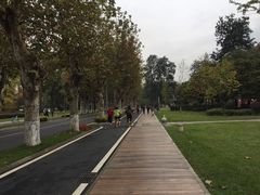 -四川大学(望江校区)