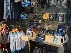 -九又四分之三站台哈利波特商店