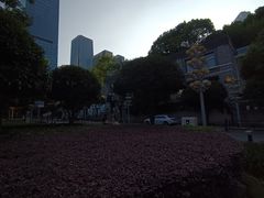 -重庆市江北嘴中央商务区中央公园