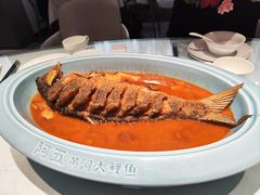 -阿五黄河大鲤鱼(英协路店)