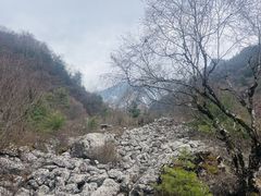 -陕西省红河谷森林公园