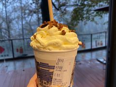-茶颜悦色(岳麓山顶店)