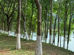 -凤岗南门山森林公园