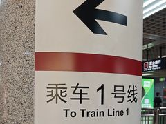 -大望路(地铁站)