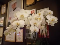 -一品淮扬 · 淮扬菜·北京万达文华酒店