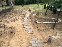 -大连森林动物园