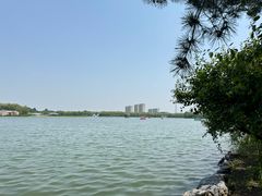 -大兴滨河森林公园