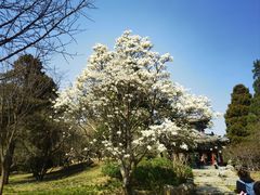 -香山公园